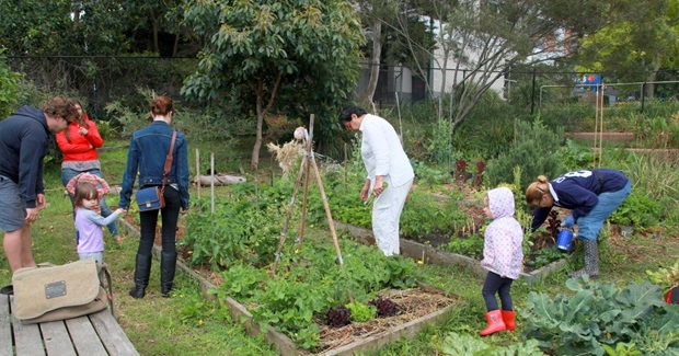 Creating Resilient Futures: Navigating Ecological and Civilizational Contraction