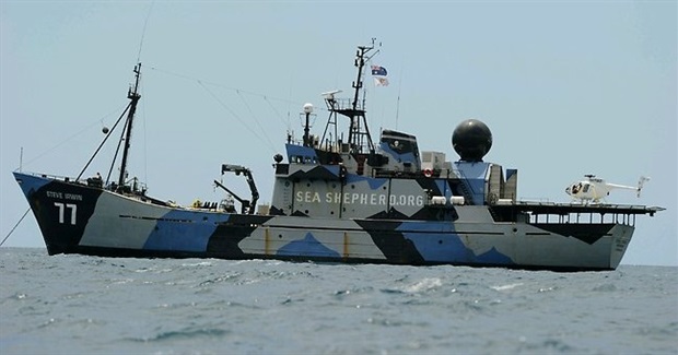 Japanese Whalers Fire Their First Shot of the Season - at Sea Shepherd