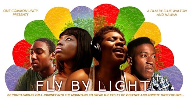 Fly By Light: A Film about Discovering Your True Nature (2015)