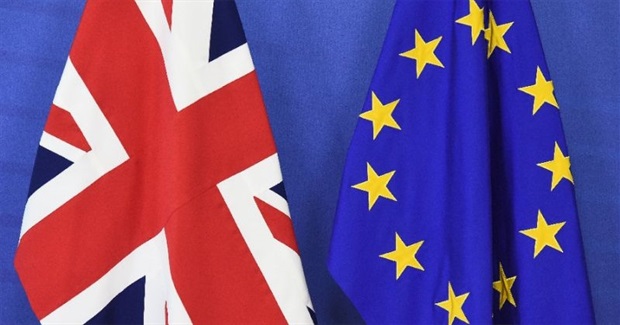 To Leave or Remain: Dichotomy or Distraction?