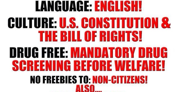 What Small-Government Conservatarians Really Want, Explained In One Graphic