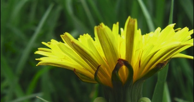 5 Ways To Take Charge of Your Health ~ Naturally