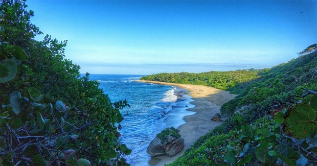 The many-faced fight of climate change