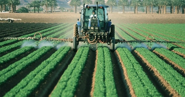 Ending a Century of Ecocide and Genocide, Seeding Earth Democracy