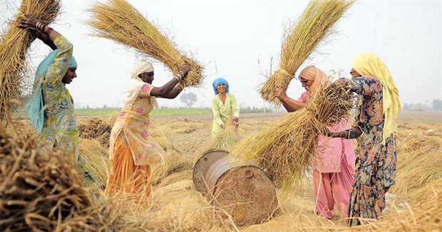 Comic Book: Together We Can Cool the Planet!