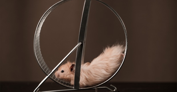 The Hedonic Treadmill and How to Get Off