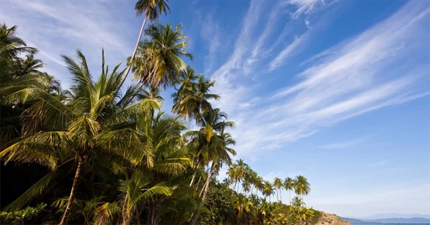 Averting the Apocalypse: Lessons From Costa Rica