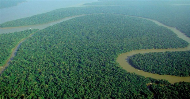 The Cure of the Earth