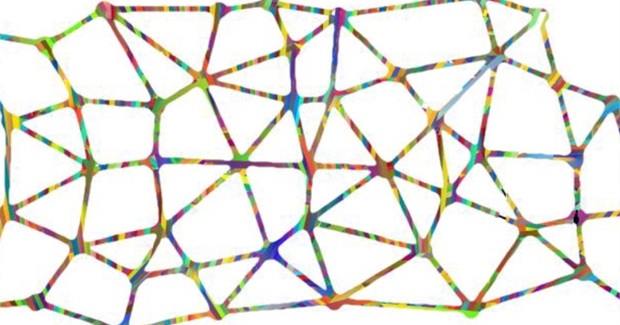 Manifesto for Wholesome Cooperation: a Sociocratic Perspective