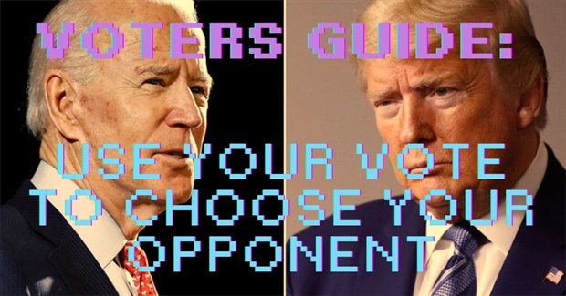 Voters Guide: Use Your Vote to Choose Your Opponent