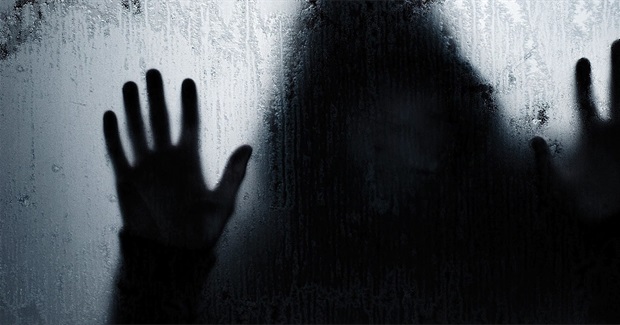 The TPP is a nightmare and I don’t understand corporate greed