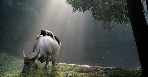 Zen and the Art of Living Deeply