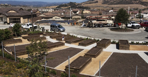 'Agrihoods' Offer Suburban Living Built Around Community Farms, Not Golf Courses