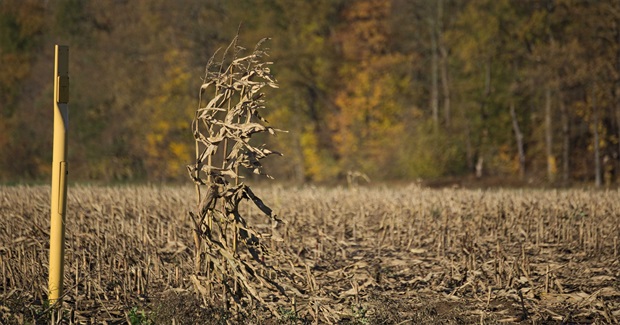 The Search for Isolation Quotient of the Collective Development | Twocircles.Net