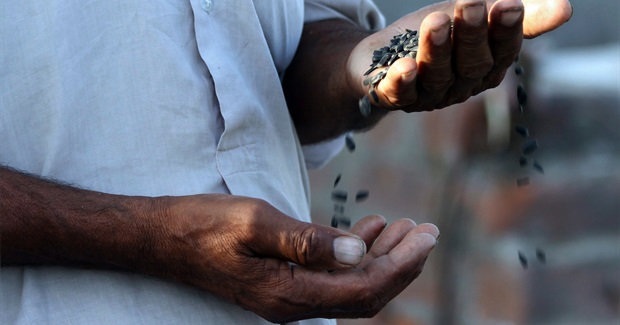 How Economic Growth Has Become Anti-Life