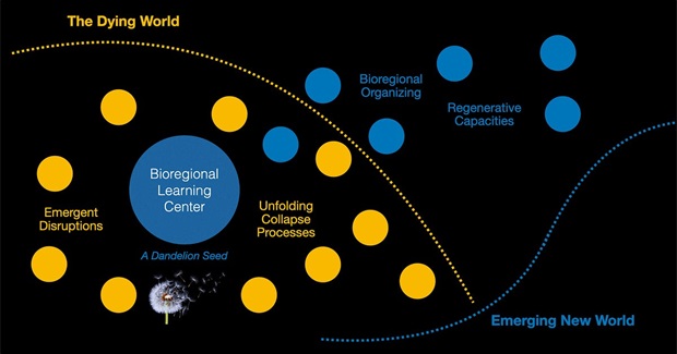 How We Are Seeding the New World