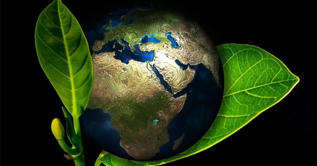 John Foran's Interim Program for a New World. What's Yours?