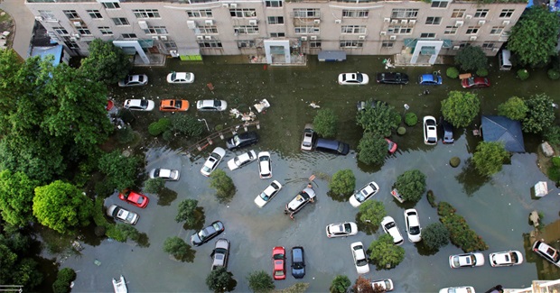 For More Resilient Cities, Stop Trying to Conquer Nature