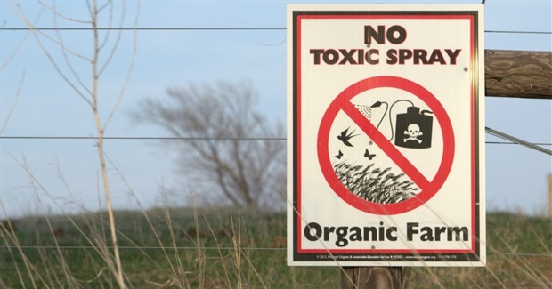 Six Rules for Organizing a Grassroots Regeneration Revolution