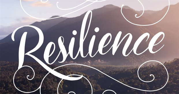 Comparative Resilience: 8 Principles for Post-COVID Reconstruction