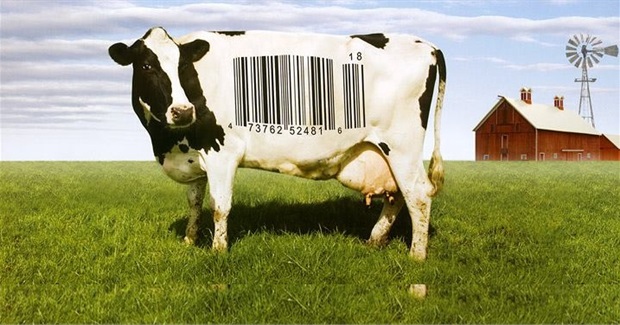 Food Inc. Screening!