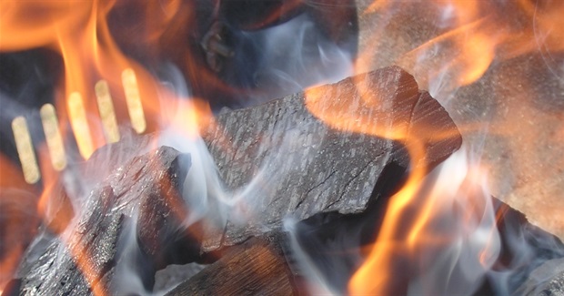 Biochar: a cause for concern?