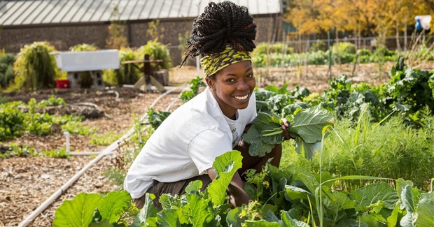 We’ve Got a Better World in Mind - 8 Principles for a Beautiful Future