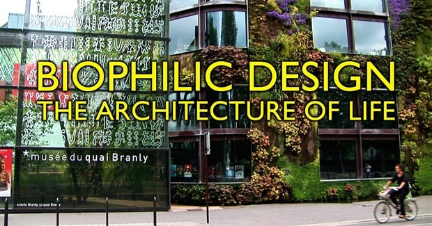 Biophilic Design: The Architecture of Life (2011)