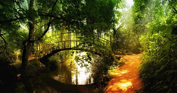 What You Do for a Living Doesn’t Interest Me- I Want to Know What You Ache For