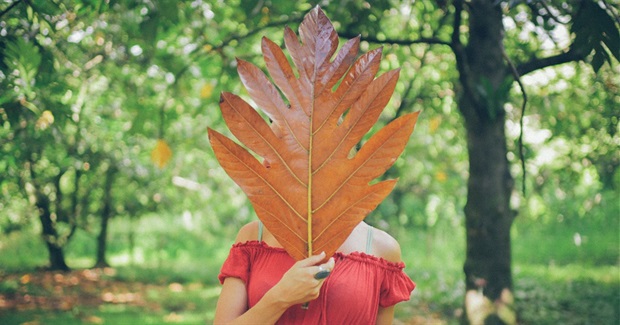 Soil/Food Connection