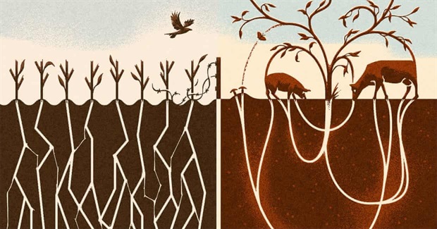 If You Want to Save the World, Veganism Isn’t the Only Answer