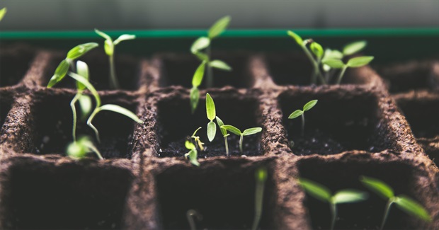 Building Innovators for Social Impact