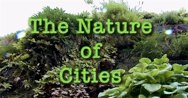 The Nature of Cities (2010)