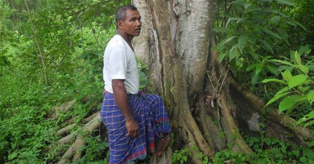 Indian Man Single-Handedly Plants a 1,360 Acre Forest