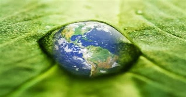Realize You Are the Earth