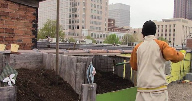 Homeless People Plant a Huge Organic Garden, and Feed an Entire Shelter
