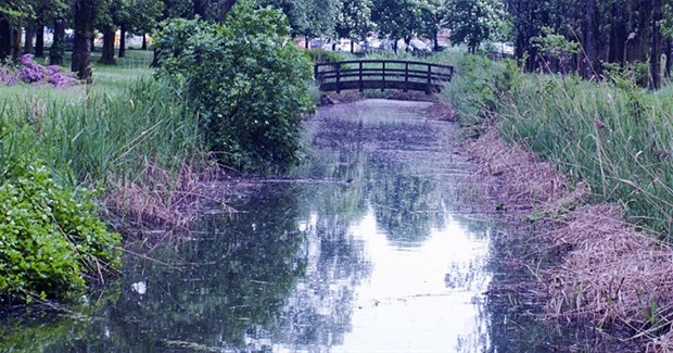 Fundamental elements about meditation