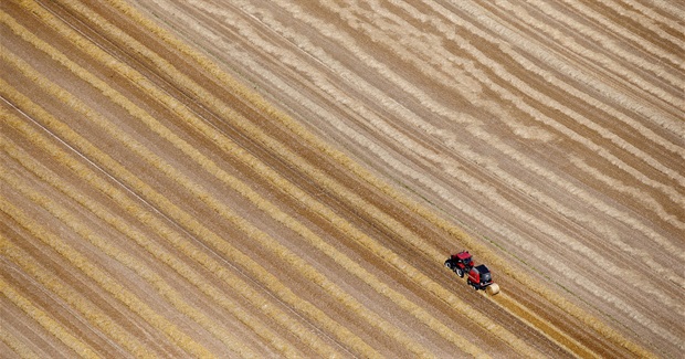 Opposition to GMOs Is Neither Unscientific Nor Immoral