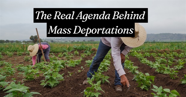 The Real Agenda Behind Mass Deportations