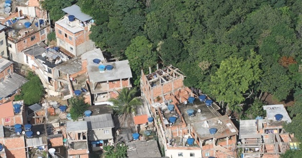 To Stop the Zika Virus From Spreading in Brazil, Specialists Call for an 'Environmental Revolution'