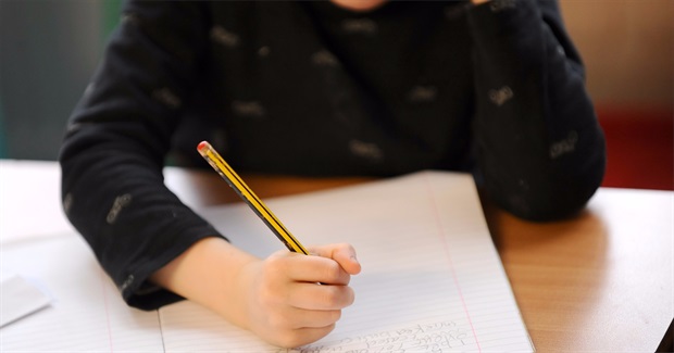 Why Children Protest Going to School