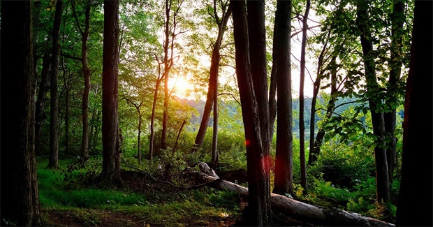 The Emotional Wallop of My Friend’s Green Burial
