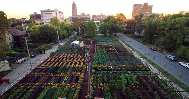 Why Building Inspiring Alternatives Is Necessary to Counter Authoritarianism