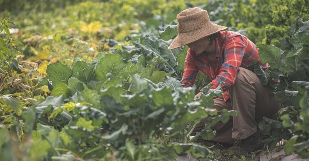 Vandana Shiva : Women and Biodiversity Feed the World, Not Corporations and Gmos - Women Who Farm