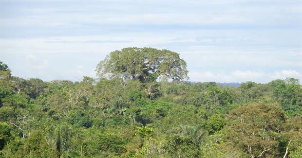 Towards a Third Opinion on Climate Change – in High Need of a Holistic View