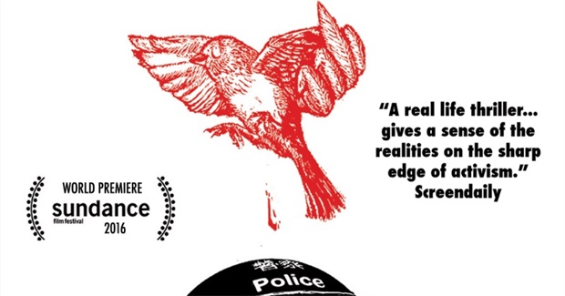 Review of Films from World's Largest Documentary Festival