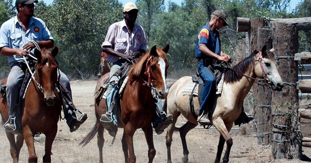 Kidman's Sale Marks Second Wave of South Australian Colonisation