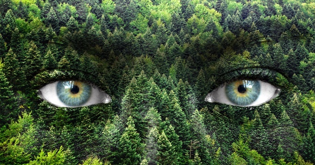 Do You Feel Nature’s Pain?