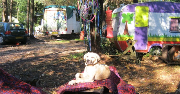 Devon's 'New Travellers' Don't Want to Leave Their Woodland Paradise