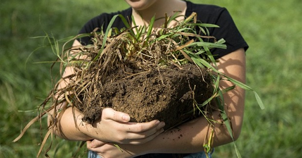 The Climate Solution Right Under Our Feet